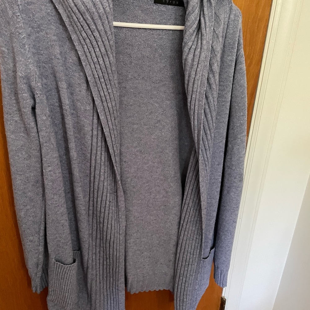Pale plum hooded sweater